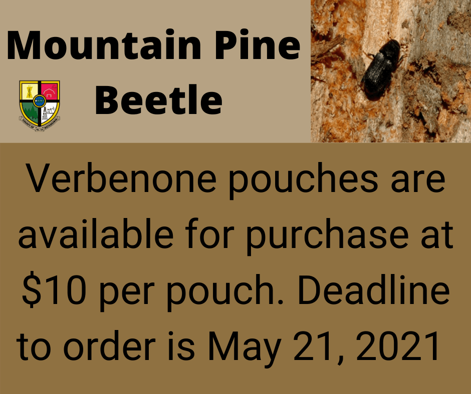 Mountain Pine Beetle Verbenone pouches