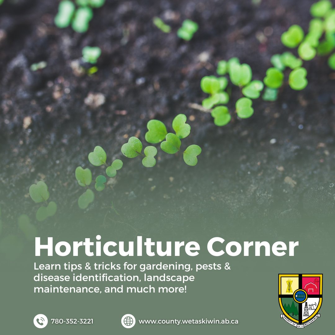 Horticulture Corner May 29, 2026