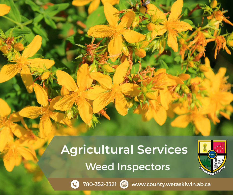 Weed Inspectors