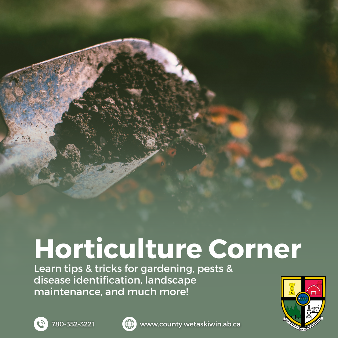 Horticulture Corner June 12, 2026