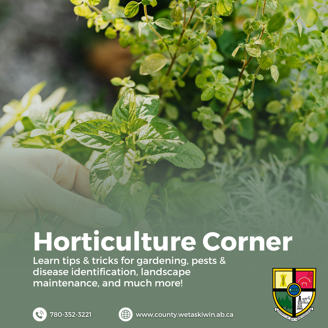 Hort Corner July 10