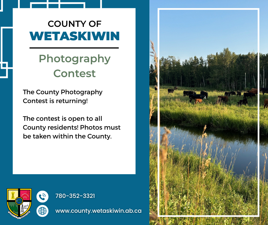 Photography Contest  (1)