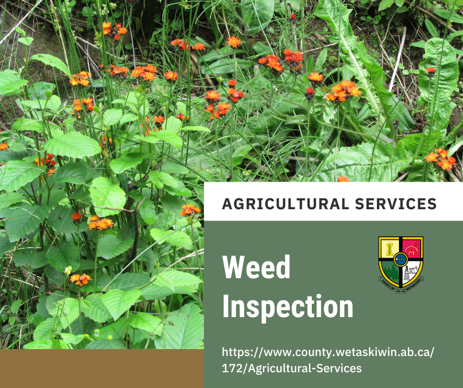 Weed Inspection