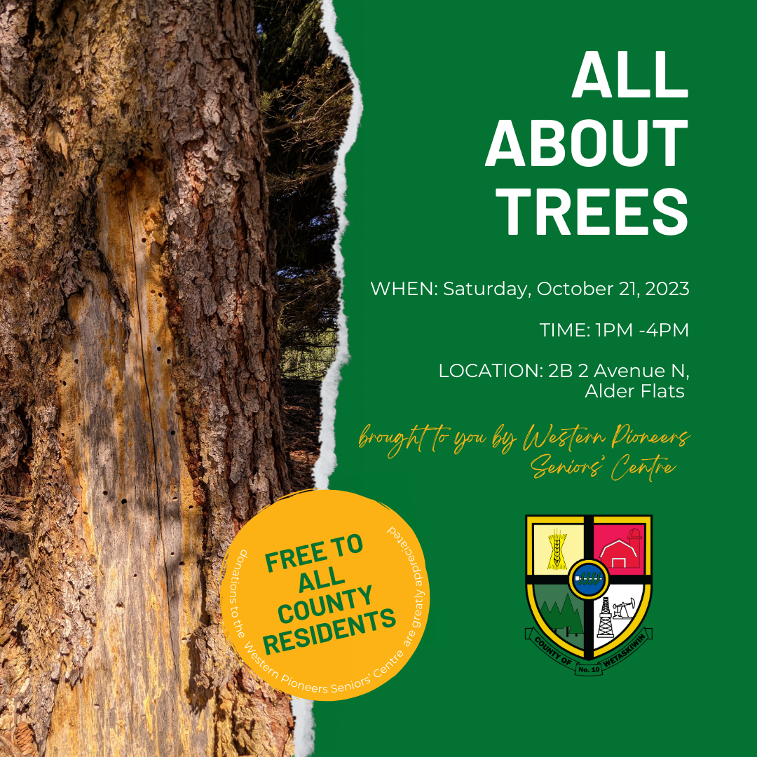 All about Trees