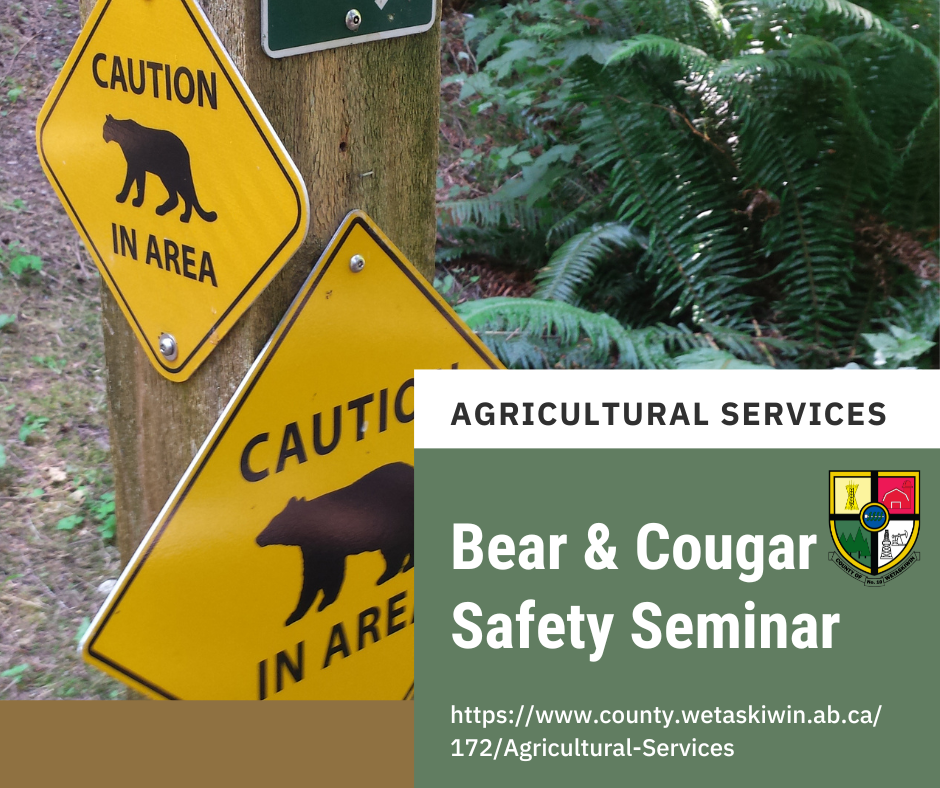 Bear and Cougar Safety