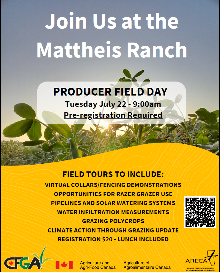 Mattheis poster