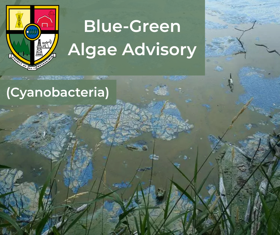 Blue-Green Algae Advisory