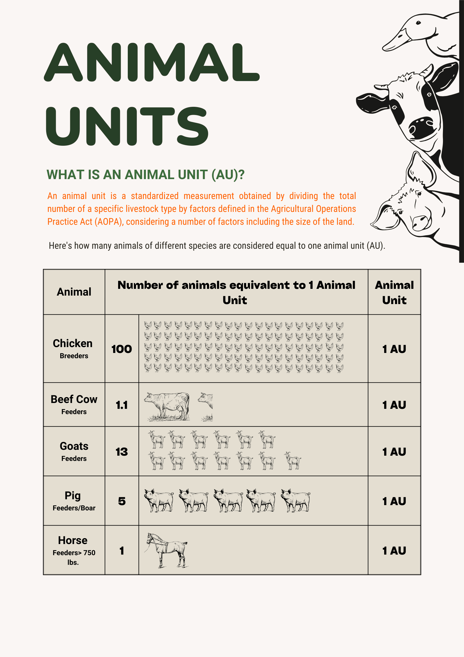 Animal Units Infographic 1